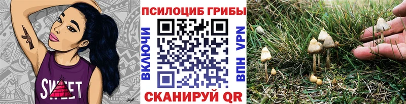 Галлюциногенные грибы Cubensis  Тайга 